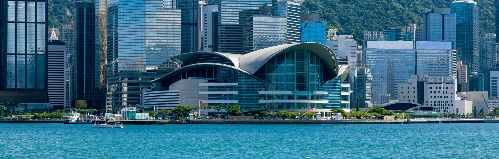 APEC Attendees Exclusive Offer