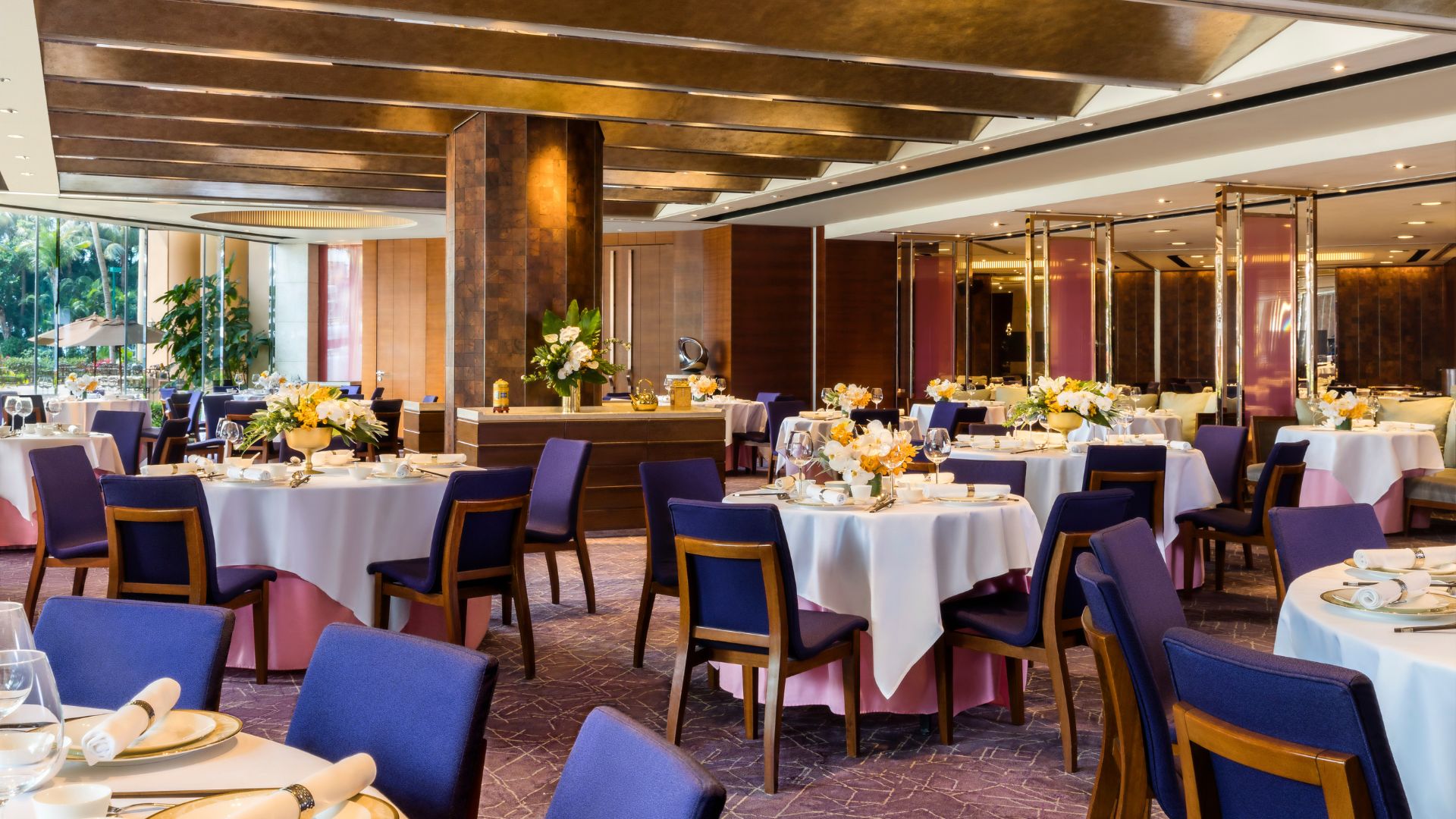 Dining banner 1