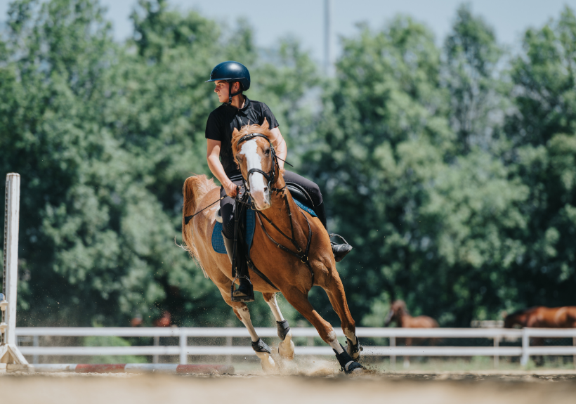 International Horse Show Getaway