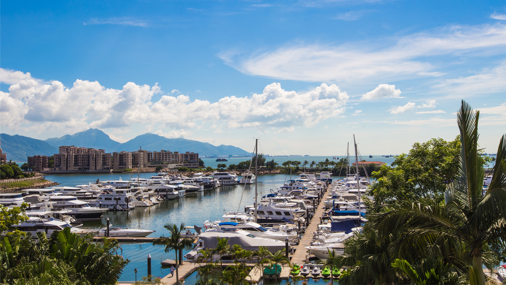 gold-coast-marina